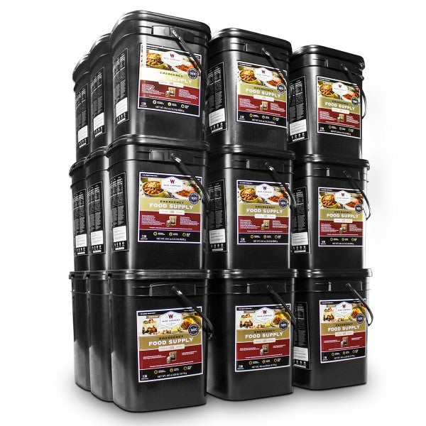 12 Month Supply for Family of 4, 3 Servings Per Day (4,320 Servings)