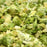 Gluten Free Emergency Freeze Dried Vegetables - 160 Servings